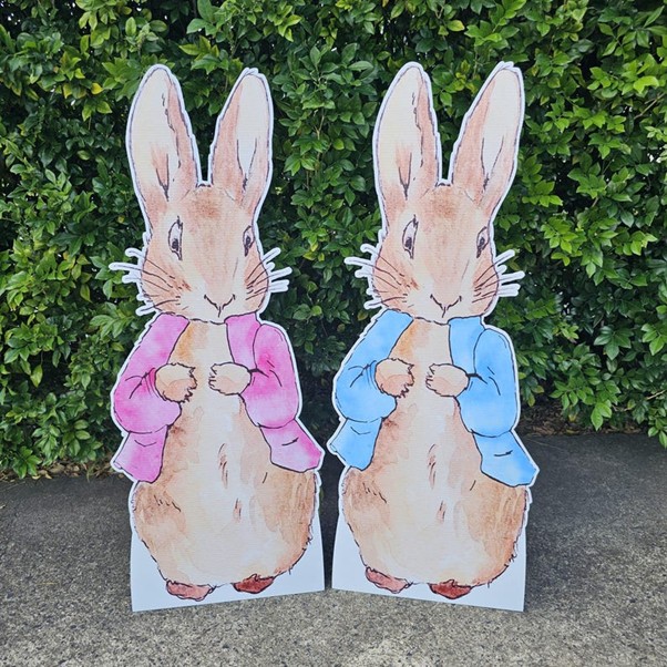 peter rabbit design 1 pink and blue
