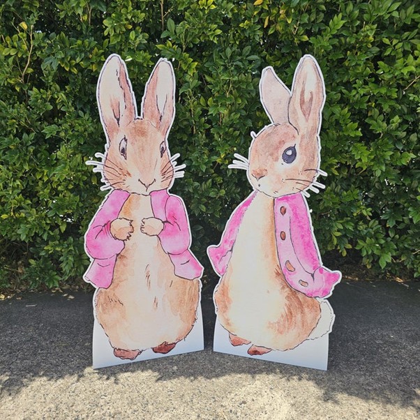 peter rabbit pink designs
